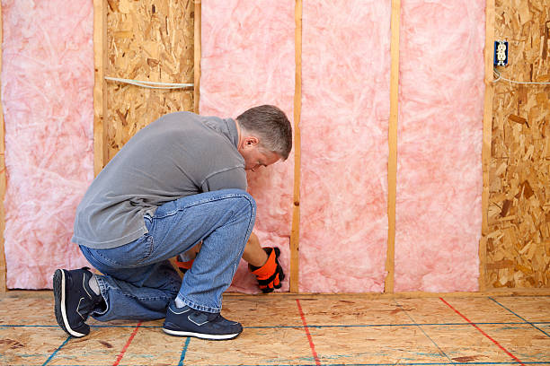 Best Commercial Insulation Services  in Tucson Estates, AZ